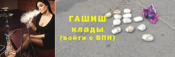 хмурый Белокуриха