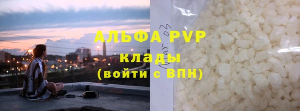 хмурый Белокуриха