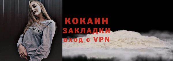 хмурый Белокуриха