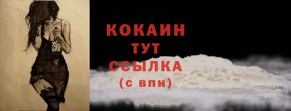 хмурый Белокуриха