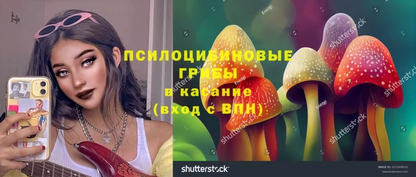хмурый Белокуриха