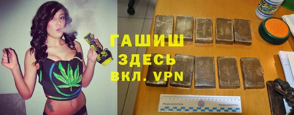 хмурый Белокуриха