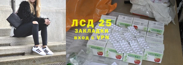 хмурый Белокуриха