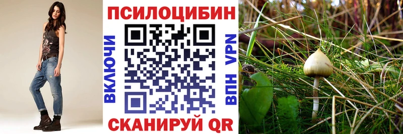 Галлюциногенные грибы MAGIC MUSHROOMS  как найти   блэк спрут ССЫЛКА  Купино 